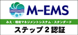M-EMSXebv2 F